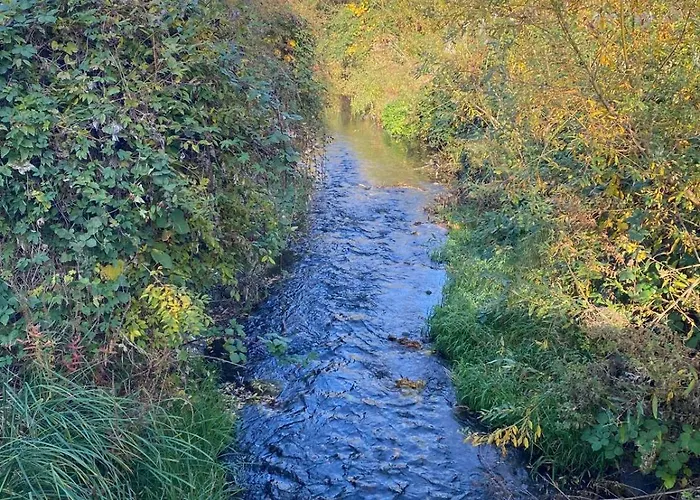 Komplette Nahe Am See